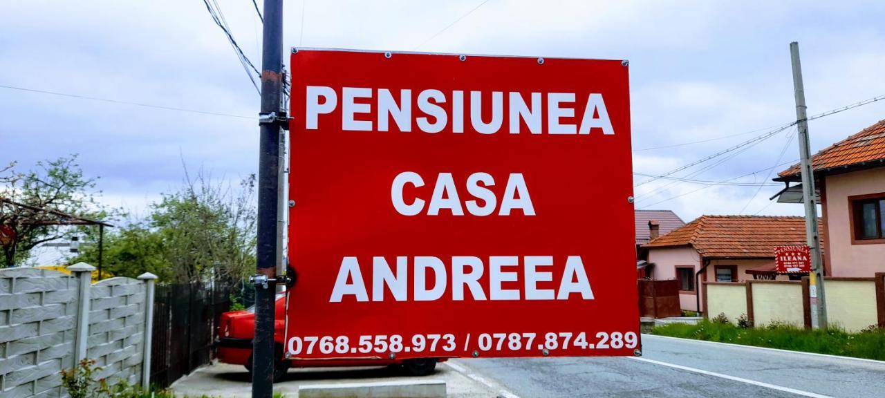 Pensiunea Casa Andreea Novaci-Străini Exterior foto